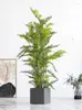 Fiori decorativi Stile nordico Simulazione Pianta Albero Asparagi Felce Falso verde in vaso Bonsai da interno di grandi dimensioni