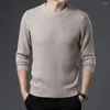 남자 스웨터 2024 가을 패션 솔리드 둥근 목 목이 긴 소매 풀오버 스웨터 캐주얼 두꺼운 꼬인 꼬인 울
