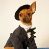 Abbigliamento per cani Moda Pelle Regolazione invernale Berretto per animali Cuffie per orecchie Copricapo Berretto