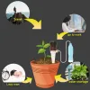 Kitler Sulama Stakes, 10 Paket İç Mekan Otomatik Damla Sulama Sistemi Sulama Ekipmanı Aracı Bitki Waterer Seramik Problar Evi