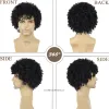 Pruiken Afro Krullend Pruik Zwart Synthetisch haar Mannelijke kapsels Verstelbare kapmaat Natuurlijke kapsels Afro Pruik Colly Jaren '70 Kostuumpruiken voor mannen