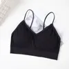 Soutien-gorge de couleur unie pour femmes, camisoles, coussin de poitrine, gilet, belle sangle, débardeur, haut tubulaire, soutien-gorge sans couture pour femmes