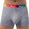 Sous-vêtements pour hommes Rainbow Belt Plaid Boxer Pantalon Europe et États-Unis Grande pochette Sous-vêtements imprimés Trunks Boxers Adulte