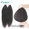 Extensions Extensions de cheveux crépus lisses à bande adhésive pour femmes noires, cuticules 100 % Remy, adhésif invisible, noir naturel, 1228 pouces