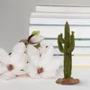 Decorative Flowers Desert Green Plant Model Scene Cactus Decor Ornament Succulent Planters Simulated Greenery Home Adornment Desktop Toy