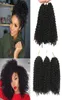 Malibob Kinky Curly szydełkowe włosy Weves 8 cali Ombre Jerry Curly Hair Syntetyczne szydełko warkocze warkocze warkocze Extens4253012