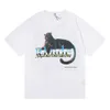 メンズTシャツヒョウ柄レディースTシャツ高品質100％コットンサマートップ高速出荷h240401