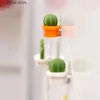 Aimants pour réfrigérateur 6 pièces d'aimants de réfrigérateur de cactus de plante juteuse mignonne 3D autocollants magnétiques pour la décoration de la maison aimants de réfrigérateur décoration de réfrigérateur Y24