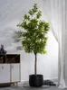 Dekorativa blommor Osmanthus trädgrön växt falska träd krukut inomhus vardagsrum landskap golv bionic bonsai