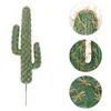 Dekorativa blommor Opottade Cactus Landscaping Ornament Gardening Decoration Modeling Staty