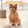 Vêtements de chien Bottes Protecteurs Anti-dérapant Hiver Chat Botte Chiot Chaussures Respirant Marche Pour Intérieur