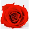 Rose naturelle préservée de qualité B, 23cm, véritable, immortelle, longue durée, tête fraîche, ours éternel, matériaux de bricolage, cadeau pour petite amie, 240308
