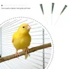 Other Bird Supplies 3 Pcs Hose Feeder Food Grade Birds Feeding Plastic Accessories Parts Tool Fittings