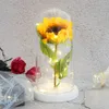 Vie éternelle fleur immortelle la belle et la bête tournesol dôme en verre fête des mères cadeau de noël pour décor de mariage 240308