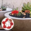 装飾的な花6PCS風景のミニチュアツリーモデル（混合パターン）