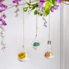 Vaser 652f glödlampa formad utomhusglas hängande planterare växter krukor för saftiga Tillandsia ljushållare gåva hem hållbar