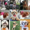 60X Cute Polka Dots Pet Puppy Dog Cat Bowtie Adjustable Ribbon Collars Bow ties Accessories Grooming Supplies 240314