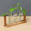 Vaser terrarium hydroponic växt transparent vas träram dekorationer glas bordsskiva bonsai dekor blomma