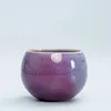 Set di accessori per il tè 2 pezzi / lotto tazza da tè in ceramica cinese squisita dipinta a mano modello Plum Blossom ciotola da tè tazza master accessori per bevande