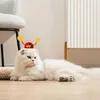 Kedi Kostümleri Tanrı'nın Servet Şapkası Pet Pet Yılı Çin Tarzı Şapkası Göz alıcı Tasarım Kutlaması Festival için
