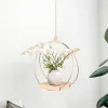 Paniers Cintres de plantes Support de pot de fleur décoratif moderne d'intérieur avec base en bois pour mur et plafond extérieur chambre cuisine fenêtre maison