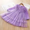 Girl Dresses 2024 Spring And Summer Dress Purple Gauze Fashion Toddler Clothes