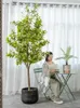 Dekorativa blommor Osmanthus trädgrön växt falska träd krukut inomhus vardagsrum landskap golv bionic bonsai