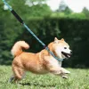 犬の首輪とリーシュ2 in 1耐久性のあるスリップ鉛犬のリーシュパッド付きハンドル反射糸犬のトレーニングロープのための犬のトレーニングロープ
