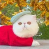 Abbigliamento per cani Moda Berretto invernale Cappello per gatti Cani Cucciolo Gattino Berretto Simpatico gatto decorativo Accessori per copricapi per animali Puntelli per feste