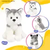 Pluche poppen 30 cm Husky pop Zwart-witte hond knuffel Schattig Zacht Sierkussen PP Katoen Hoge kwaliteit vulling Dierenmeisje Verjaardagscadeau Q240322