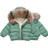 Manteau en duvet pour bébé garçon et fille, veste d'hiver épaisse en coton rembourré, à capuche en fourrure, solide, combinaison de neige avec fermeture éclair, vêtements chauds de 2 à 7 ans
