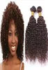 Trame de cheveux bruns ondulés profonds produits de haute qualité bouclés profonds 4 châtaignes Brwon cheveux tisse péruvien vierge cheveux humains Weaves2150264