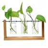 Vaser terrarium hydroponic växt transparent vas träram dekorationer glas bordsskiva bonsai dekor blomma