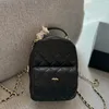 18cmデザイナーバックパック女性高級ハンドバッグキャビアジッパーコイン財布ショルダーバッグビンテージイブニングクラッチゴールドハードウェア