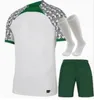 24 25 Nigeria Iheanacho Aina Mens Soccer Jerseys National Team 23 24 Simon Omeruo A. Iwboi Home Away Football Shirt Kort ärmuniformer AAA