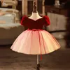 Sweet Wine V-Neck Flower Girl Dresses Girl's Birthday Dresses Girls Party Skirt Girl Everyday dress Kids' Party Wear SZ 2-12 D322112