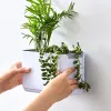 Planters New Indoor Self Watering Flowerpot Decoration Hydroponics Vertical Plant Potted Wall Hanging Plastic Pot Nordic Simple Household