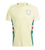 2024 Wales Fußballtrikots BALE WILSON ALLEN RAMSEY wes 24 25 Europapokal Nationalmannschaftspokal Rodon VOKES Heimfußballtrikot Kurzarm Erwachsene Uniformen Fans Kinderset