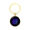 Portachiavi Acquario/Pesci Segni zodiacali Portachiavi Classico Dodici Costellazioni Cabochon Vetro Tempo Gemma Compleanno Segno zodiacale Regalo