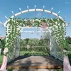 装飾的な花人工花輪のアイビーハンギング緑のつるシルクレタンのためのホームパーティーの装飾屋外庭の結婚式のアーチ