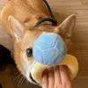 犬のアパレルデザイナーペットダイヤモンドリングおもちゃを噛む漏れているおもちゃびらんスナッフル子犬のスニッフィングパズル小さな犬のドロップTPT02