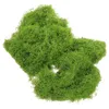 Faux gazon décoratif en mousse pour plantes, jardinière artificielle d'intérieur en pot, projet de bricolage vert