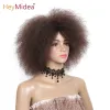 Perruques Afro crépus bouclés perruque pour femmes noires 6 pouces perruques courtes bouclées perruques synthétiques résistant à la chaleur africaine bouclés pleine perruques HeyMidea