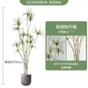 Decorative Flowers Dracaena Marginata Plant Indoor Living Room Floor Bonsai Nordic Style Soft Decoration Ornaments