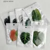 冷蔵庫の磁石8一般的な植物の葉アクリル冷媒磁気装飾パッチアクリルシミュレーション緑の葉Y240322