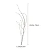 Decorative Flowers Birch Branch Decoration Natural Branches For Vase Plants Small Dried Ornament