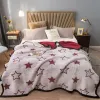 클래식 담요 도매 두꺼운 밍크 퍼브 패브릭 이중 플란넬 에어컨 블랭킷 침대 시트 Raschel Sofa Cover Blanket
