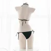 Roupa de banho feminina brasileira sexy lingerie beachwear pequeno conjunto de biquíni três pontos roupa interior cintura baixa triângulo calcinha tanga estudantes