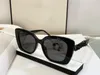 Designer-Sonnenbrillen für Damen und Herren, modische Cat-Eye-Brillen, Modell mit speziellem UV-Schutz 400, Buchstabe Big Leg Double Beam Frame Outdoor-Design-Sonnenbrille 6047