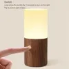 Night Lights Light Touch Table Lamp With Frosted Lampshade 3000K Color Temperature USB Charging Cable LED For Bedroom Living Room